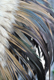 N60- New Model Brown natural Feather Headdress / Warbonnet.