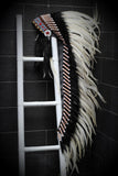 PRICE REDUCED Z06 Extra Large White  Feather Headdress (43  inch long )/ war bonnet.