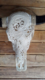 Small Faux Hand Carved  Dragon Buffalo Skull with long horns made with Resin