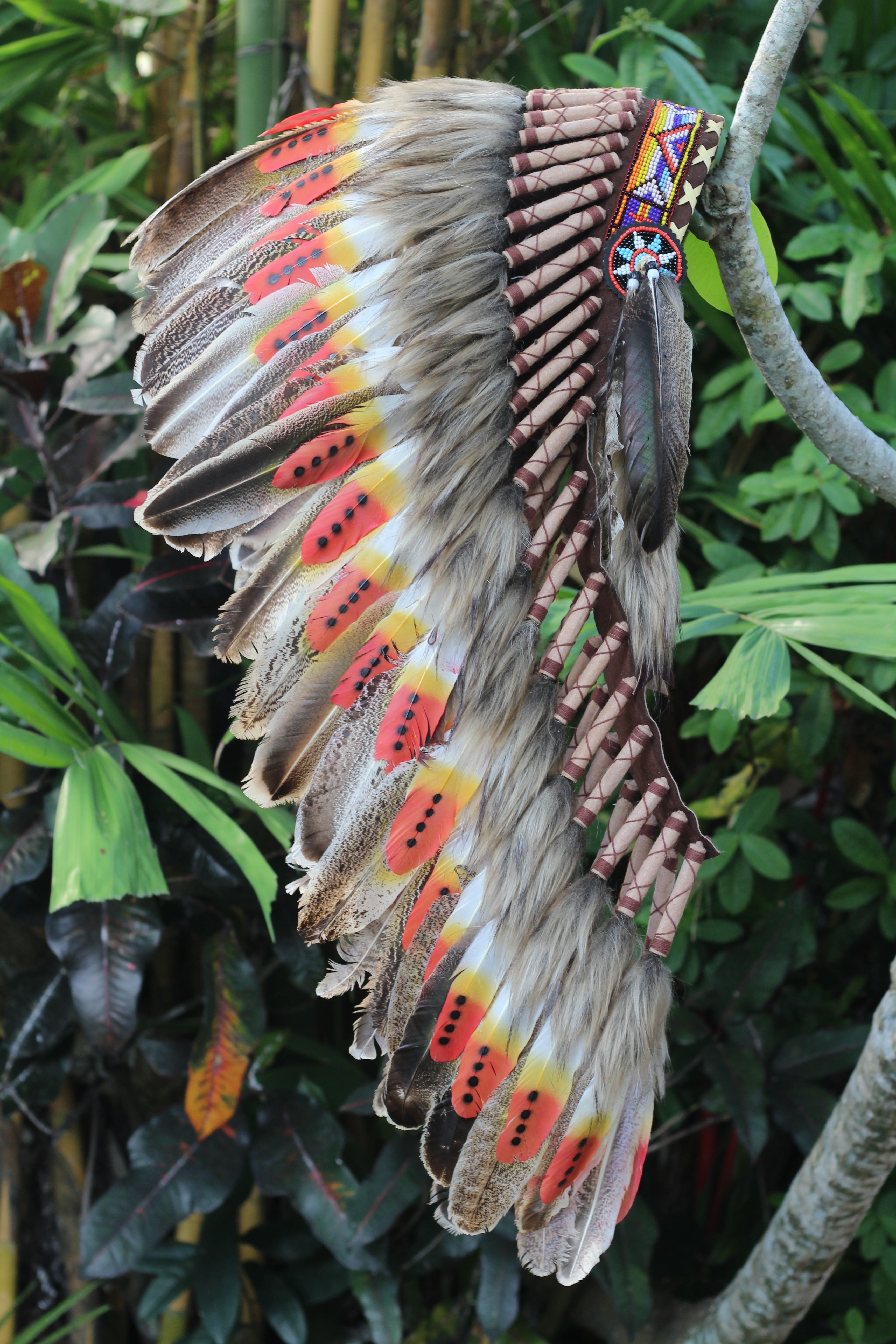 Native American White Feather Headdress