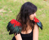 Plumes des ailes d'épaule : plumes noires et rouges