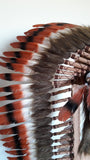 Z40 -  Extra large  three colors brown , Feather Headdress ( 43 inch long). Native American Style.