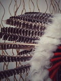 X27 natural colour turkey Feather Headdress  / Warbonnet..