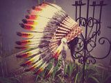 N21- From 5-8 years Kid / Child's: white swan feather Headdress 21 inch. – 53,34 cm.